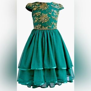 Rare Editions Girls  Size 10 Emerald Mesh Gold Embroidered Jewel Dress
